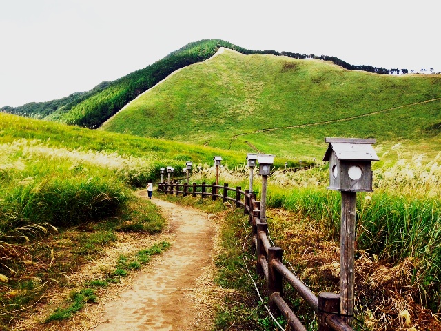 曽爾高原１